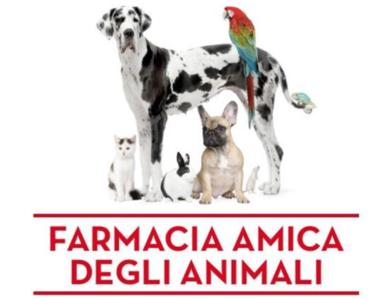 Farmacia Dinnella – tel: 0835314308