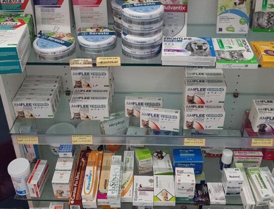 Farmacia Sant’Ignazio dei Dottori Vincenzo Zacched – tel: 070940900